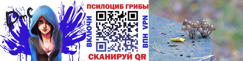 Галлюциногенные грибы Psilocybe  Минусинск 