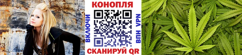 дарнет шоп Минусинск Конопля индика